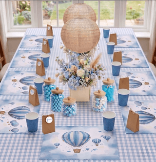 pastel-blue-picnic-table-setting-gingham-theme.jpg